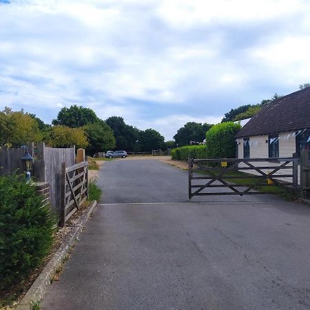 FletchingGarden Flat At The Infamous Piltdown Man Pubアパートメント エクステリア 写真